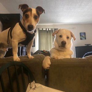 Meet your Posher, Colette